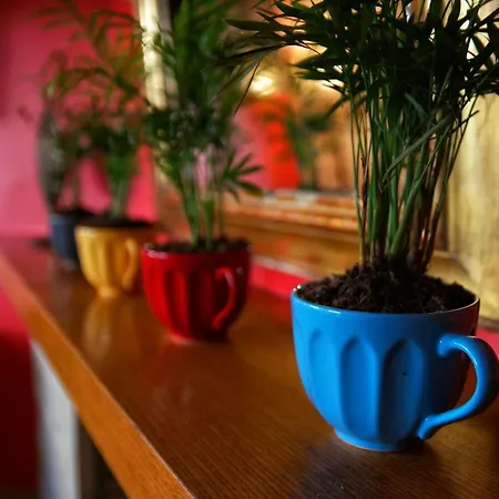 Nomade Old Otel İstanbul