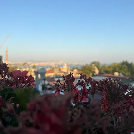 Nomade Old Istanbul
